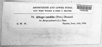 Image Associated With the Occurence